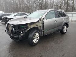 Salvage cars for sale at Glassboro, NJ auction: 2015 KIA Sorento LX