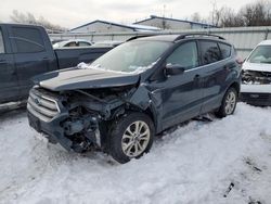 Salvage cars for sale at Albany, NY auction: 2019 Ford Escape SEL