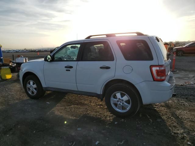 2012 Ford Escape XLT