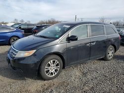 Salvage cars for sale at Hillsborough, NJ auction: 2012 Honda Odyssey EXL