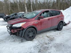 Salvage cars for sale from Copart Cookstown, ON: 2013 Ford Escape SE