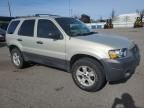 2006 Ford Escape XLT