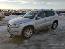 Volkswagen salvage cars for sale: 2009 Volkswagen Tiguan SE