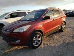 Ford salvage cars for sale: 2014 Ford Escape SE