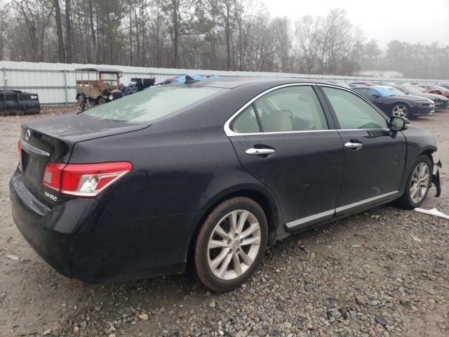 2010 Lexus ES 350