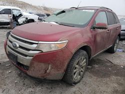 Salvage cars for sale at Littleton, CO auction: 2014 Ford Edge Limited