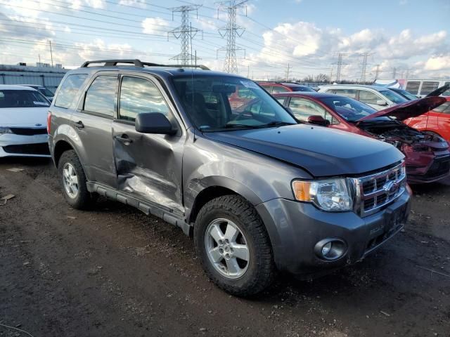 2010 Ford Escape XLT