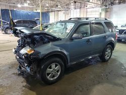 Salvage cars for sale at Woodhaven, MI auction: 2010 Ford Escape XLT