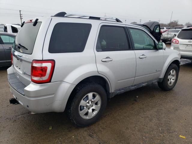 2011 Ford Escape Hybrid