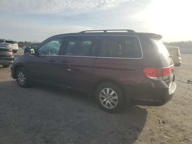 2008 Honda Odyssey EXL