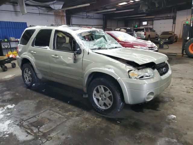 2005 Ford Escape Limited