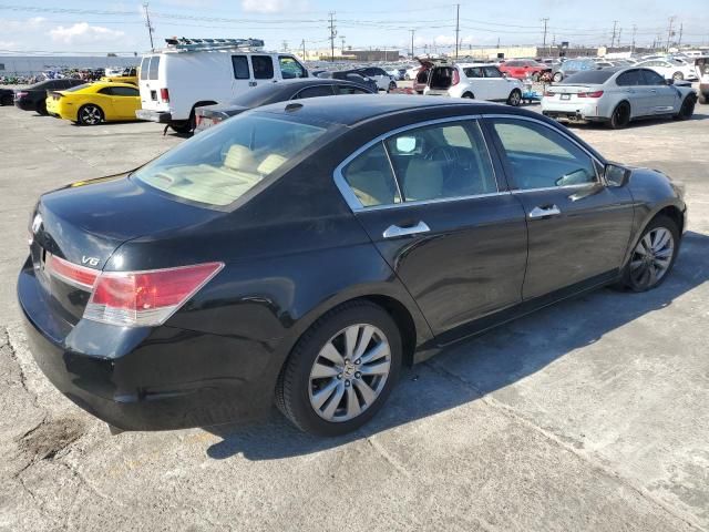 2011 Honda Accord EXL