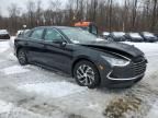 2023 Hyundai Sonata Hybrid