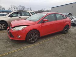 Ford Focus se salvage cars for sale: 2014 Ford Focus SE