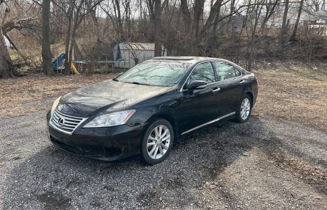 2010 Lexus ES 350