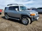 2010 Toyota FJ Cruiser