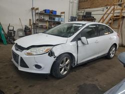 2013 Ford Focus SE en venta en Ham Lake, MN