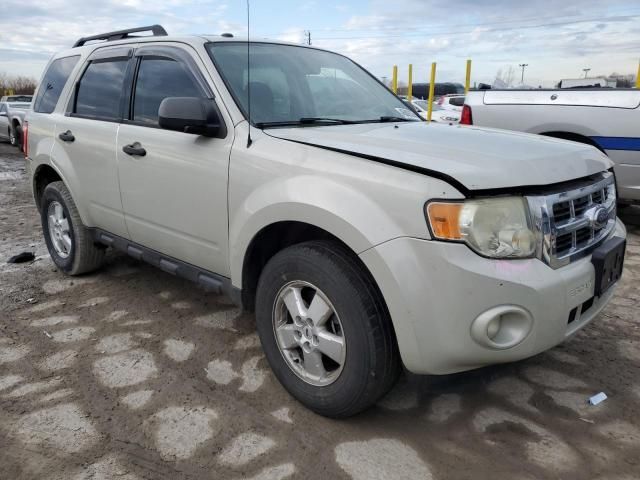 2009 Ford Escape XLT