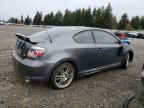 2008 Scion TC