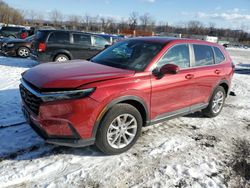 Salvage cars for sale at Marlboro, NY auction: 2024 Honda CR-V EXL