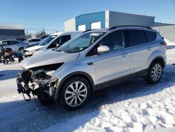 Salvage cars for sale at Elmsdale, NS auction: 2019 Ford Escape SEL