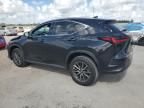 2023 Lexus NX 350