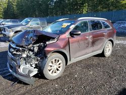 Salvage cars for sale at Graham, WA auction: 2016 KIA Sorento LX