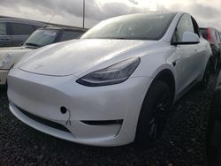 Salvage cars for sale at Portland, OR auction: 2021 Tesla Model Y