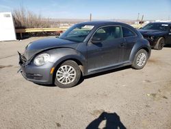 Salvage cars for sale at Albuquerque, NM auction: 2012 Volkswagen Beetle