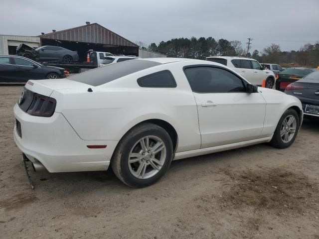 2013 Ford Mustang