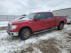 Salvage cars for sale at Appleton, WI auction: 2012 Ford F150 Supercrew