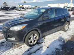 SUV salvage a la venta en subasta: 2016 Ford Escape SE