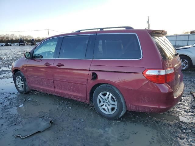 2005 Honda Odyssey EXL