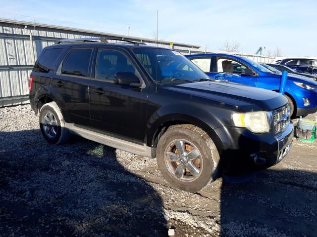 2011 Ford Escape Limited