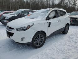 Salvage cars for sale at Cookstown, ON auction: 2015 Hyundai Tucson Limited