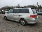 2008 Honda Odyssey EX