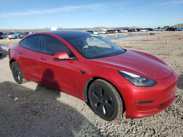 2021 Tesla Model 3