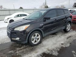 Salvage cars for sale from Copart Littleton, CO: 2013 Ford Escape SE