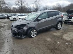 Ford Escape se salvage cars for sale: 2013 Ford Escape SE