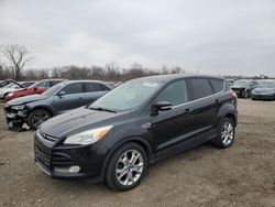 Ford Escape sel Vehiculos salvage en venta: 2013 Ford Escape SEL