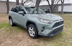 Salvage cars for sale at Grand Prairie, TX auction: 2019 Toyota Rav4 XLE