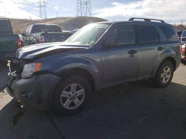 2010 Ford Escape Hybrid