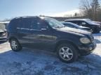 2004 Mercedes-Benz ML 350