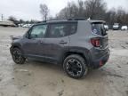 2017 Jeep Renegade Trailhawk