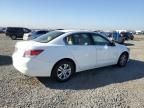 2009 Honda Accord LXP