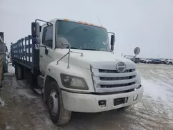 Salvage trucks for sale at Amarillo, TX auction: 2015 Hino Hino 338