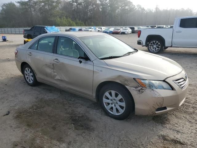 2007 Toyota Camry Hybrid