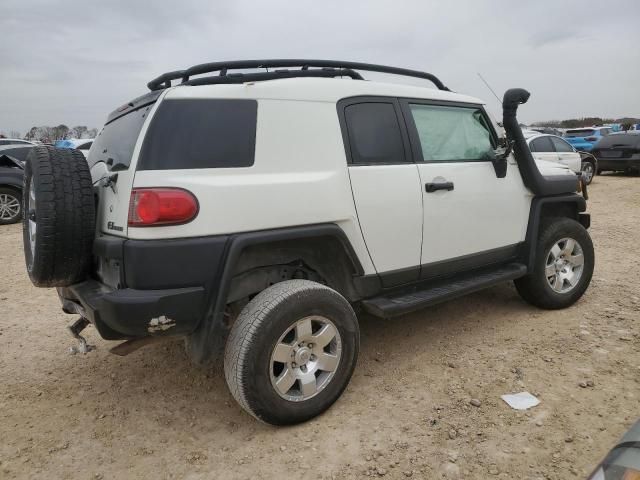 2010 Toyota FJ Cruiser