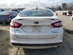 2015 Ford Fusion Titanium HEV