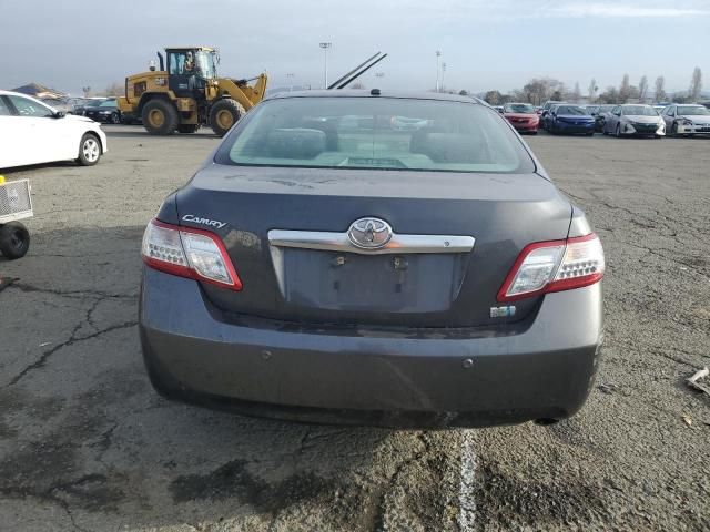 2011 Toyota Camry Hybrid